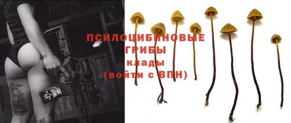 spice Алексеевка