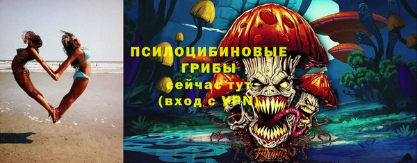 ГАЛЛЮЦИНОГЕННЫЕ ГРИБЫ Алзамай