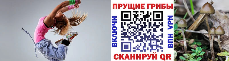 Псилоцибиновые грибы Magic Shrooms  Черепаново 